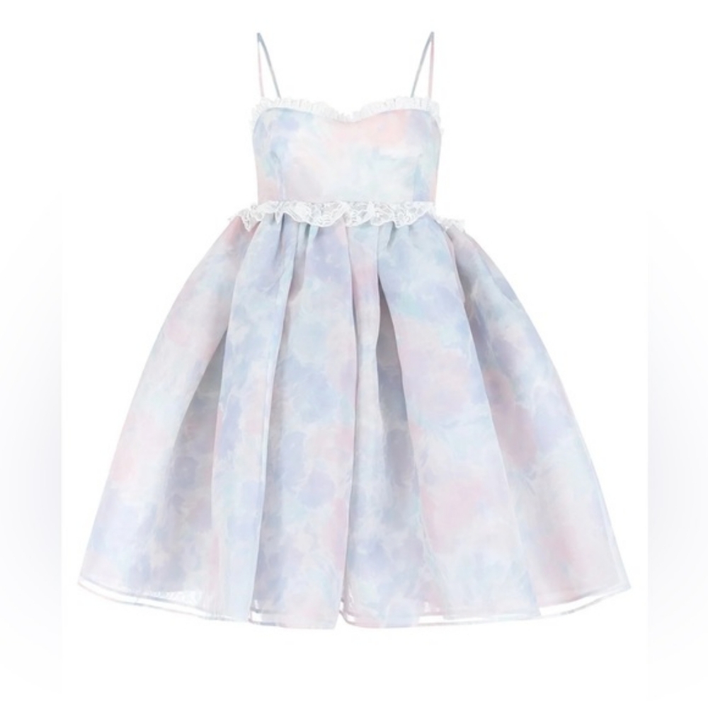 Selkie 5x Rosebud dress watercolor NWT